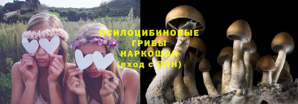 соль курить ск Новокубанск