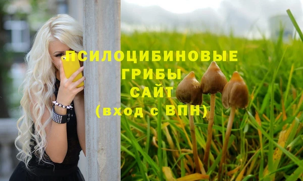 мескалин Новодвинск