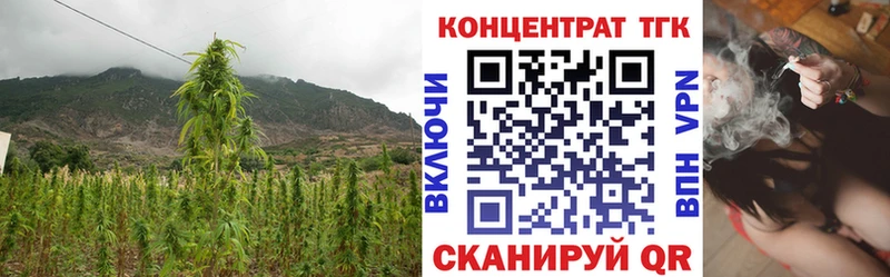 ТГК концентрат  Малая Вишера 