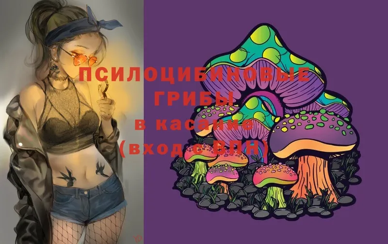 MEGA сайт  Малая Вишера  Псилоцибиновые грибы Cubensis 