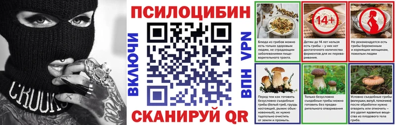 Псилоцибиновые грибы Psilocybe Малая Вишера