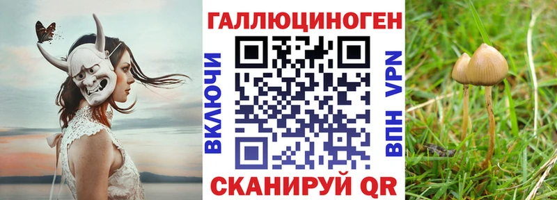 KRAKEN ссылки Малая Вишера darknet Telegram Галлюциногенные грибы ЛСД